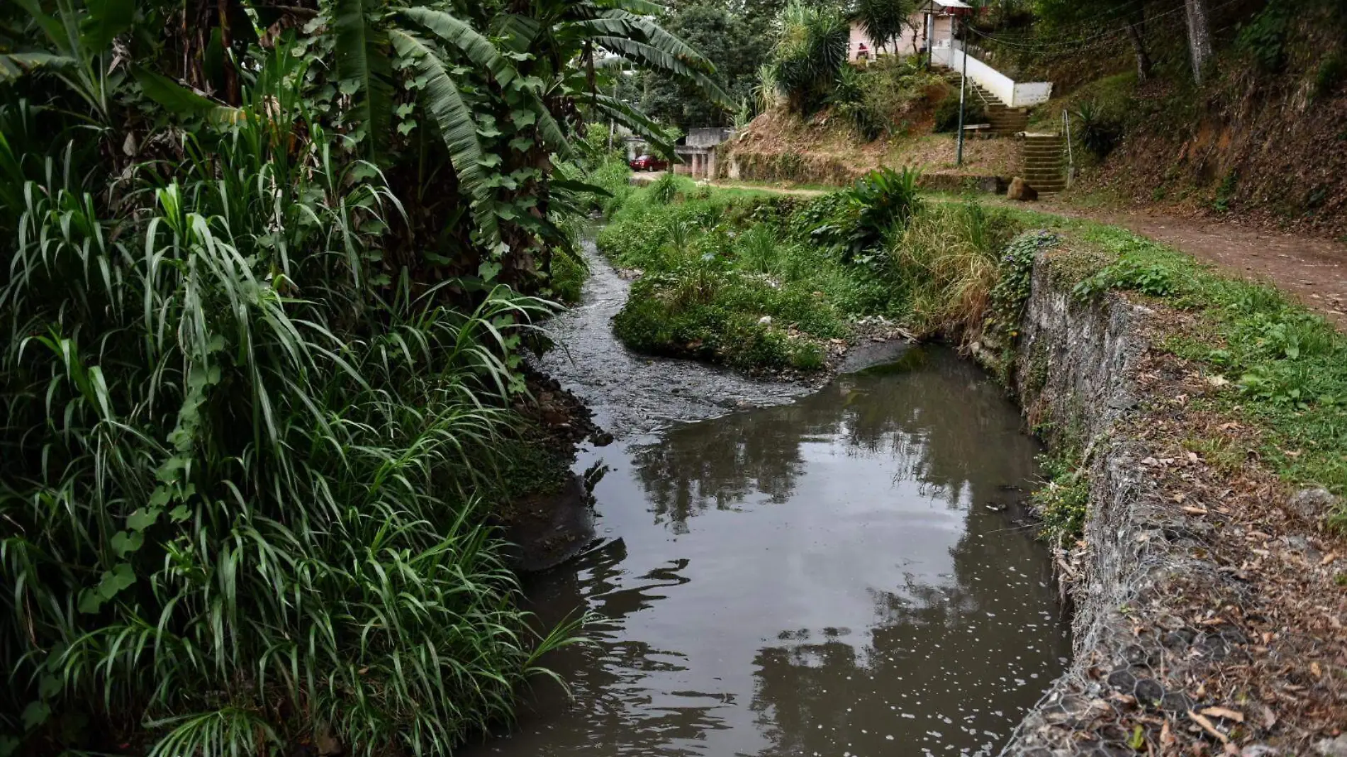 Río contaminado | Río Carneros